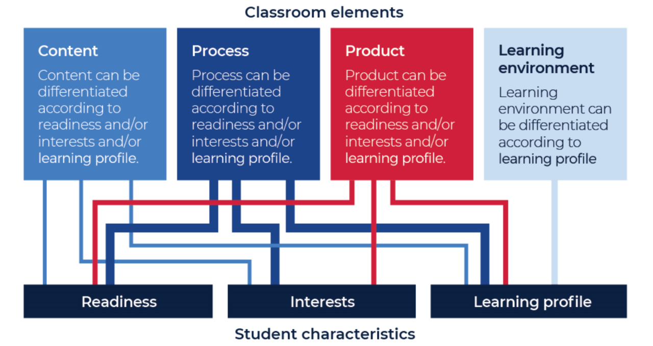 Detail of what to differentiate in the classroom