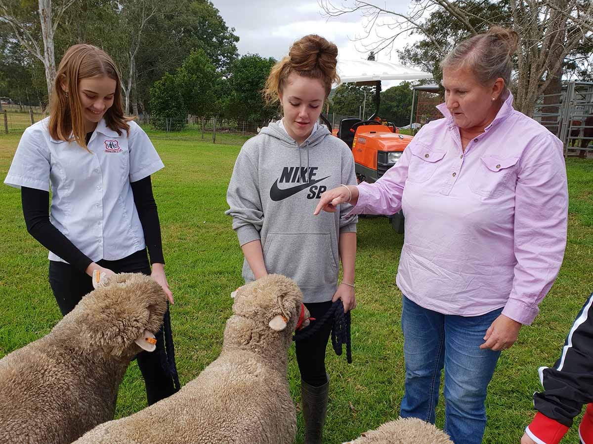 Sarah Ford with students and the new mob of sheep. 