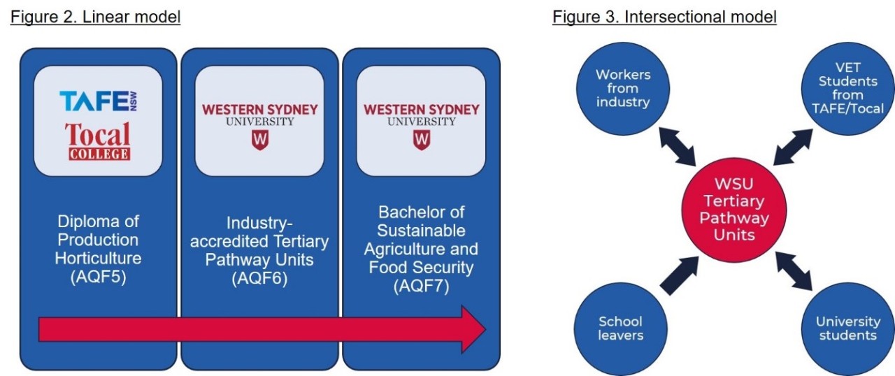 WSU tertiary pathway model