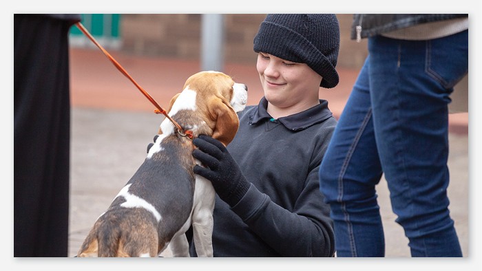 A student smiles at a dog during an animal therapy visit.