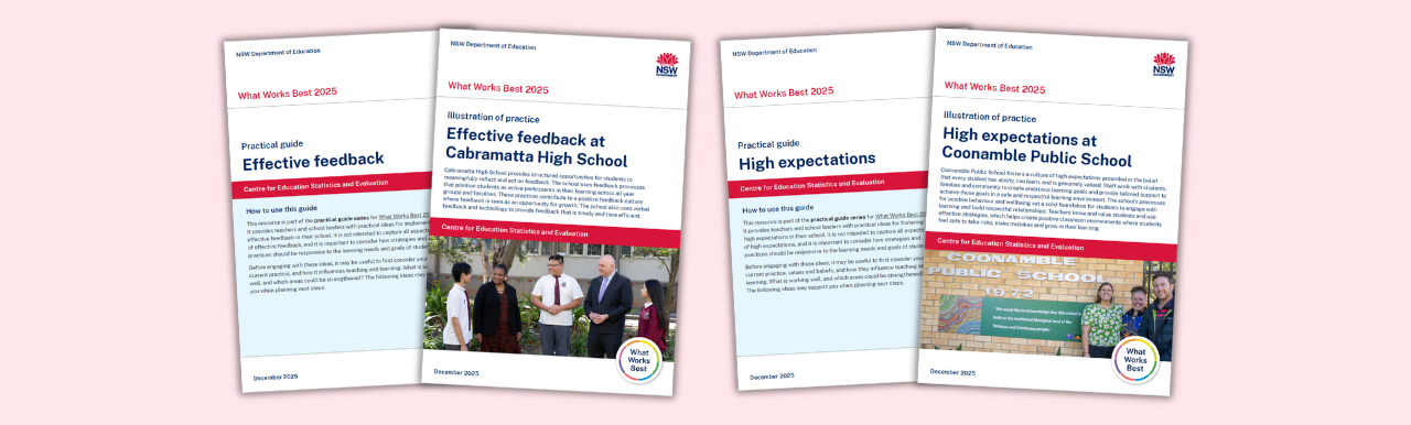 Graphic of publications on a pink background.