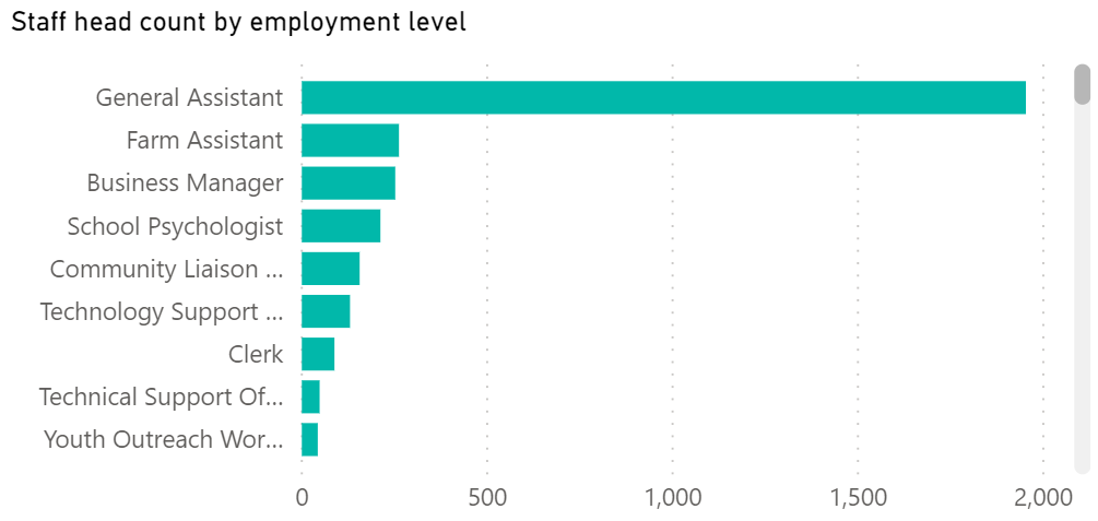 An example of staff headcount by employment level