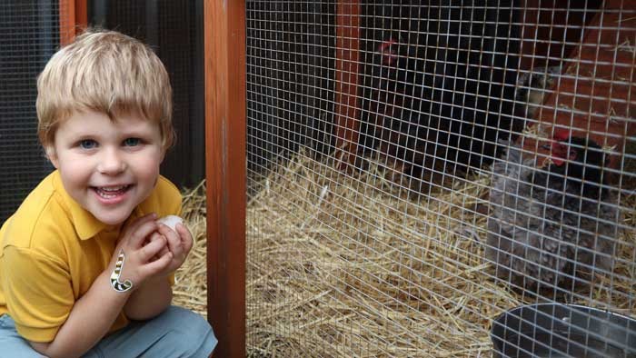 Manooka Valley Community Preschool student outside a chicken coop