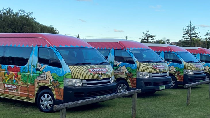 Four minibuses are parked side by side the outdoor grass. The minibuses are covered in brightly coloured rainforest-themed cartoon artwork.