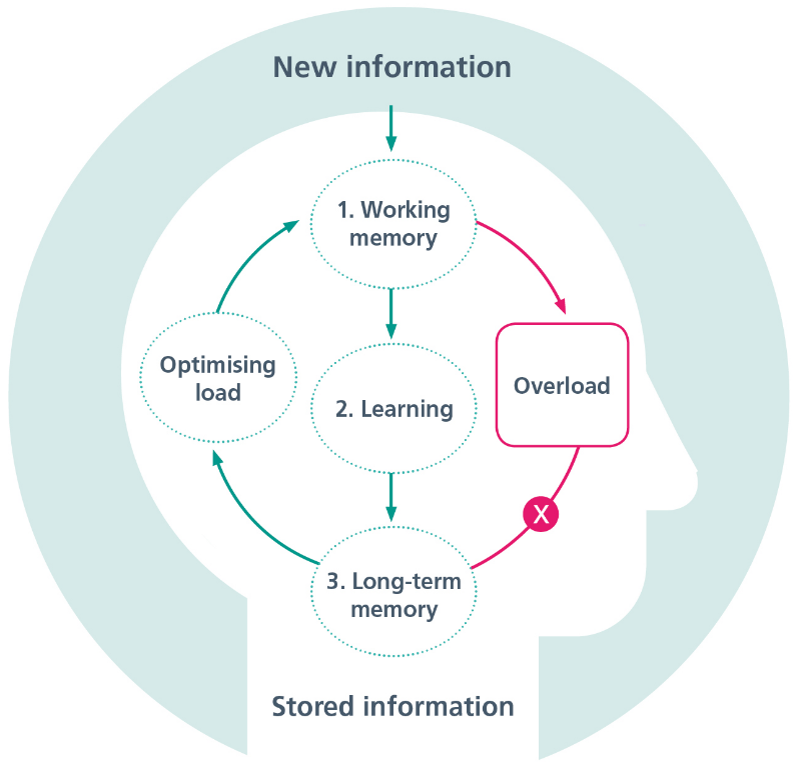 A diagram demonstrating that new information enters the brain into working memory. Learning happens when information goes from working memory to long-term memory. Cognitive overload stops this from happening.