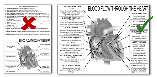 Two examples of a heart diagram. The first has definitions of different parts of the heart separate to the diagram. The second has definitions embedded as part of the diagram. The second example is correct for optimising load.