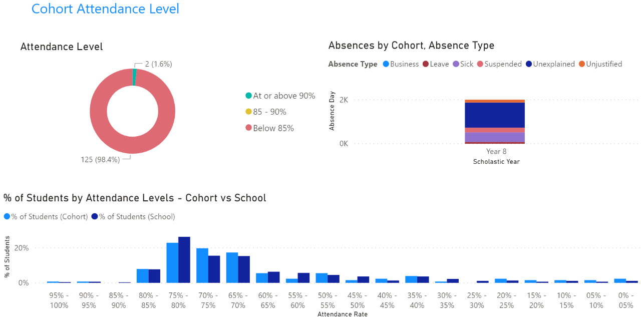 Example of cohort attendance level