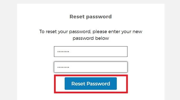 Screenshot of reset password page with reset password selected