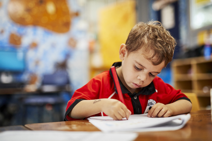 Cabbage Tree Island Public school