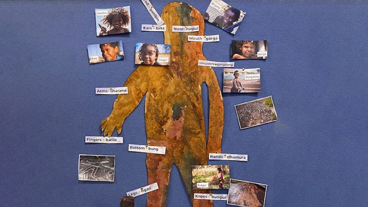 Painting of a body in brown, green and other earthy colours. Pictures of Aboriginal and or Torres Strait Islander children are placed around areas of the body, along with labels with the words of different body parts in English and Darkinjung language.