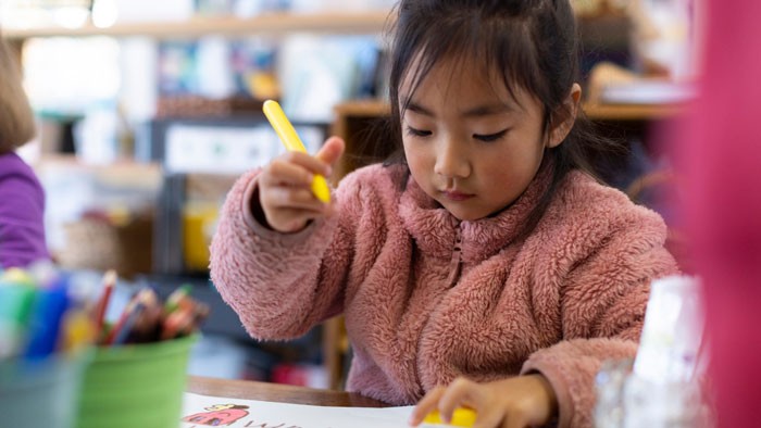 Young student colouring in at an activity table at an early childhood education centre.