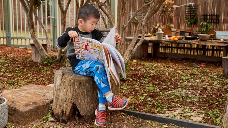 Child reading book sitting on a tree stump