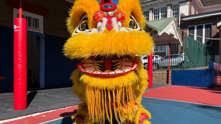A Chinese lion.
