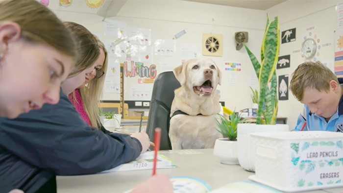 A dog sitting at a desk with a group of students
