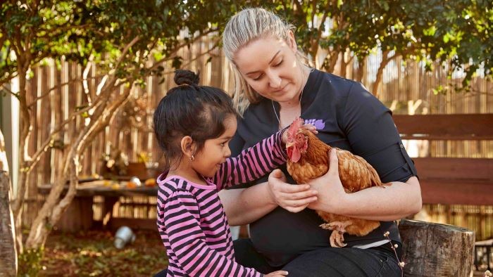 Early childhood educator holding rooster being patted by child