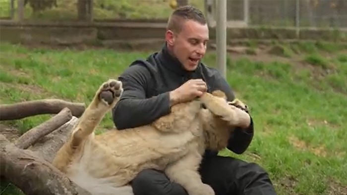 A zookeeper with a lion