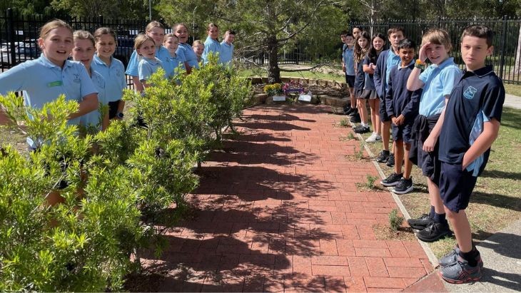 Students standing along a brick path lined by shrubs.