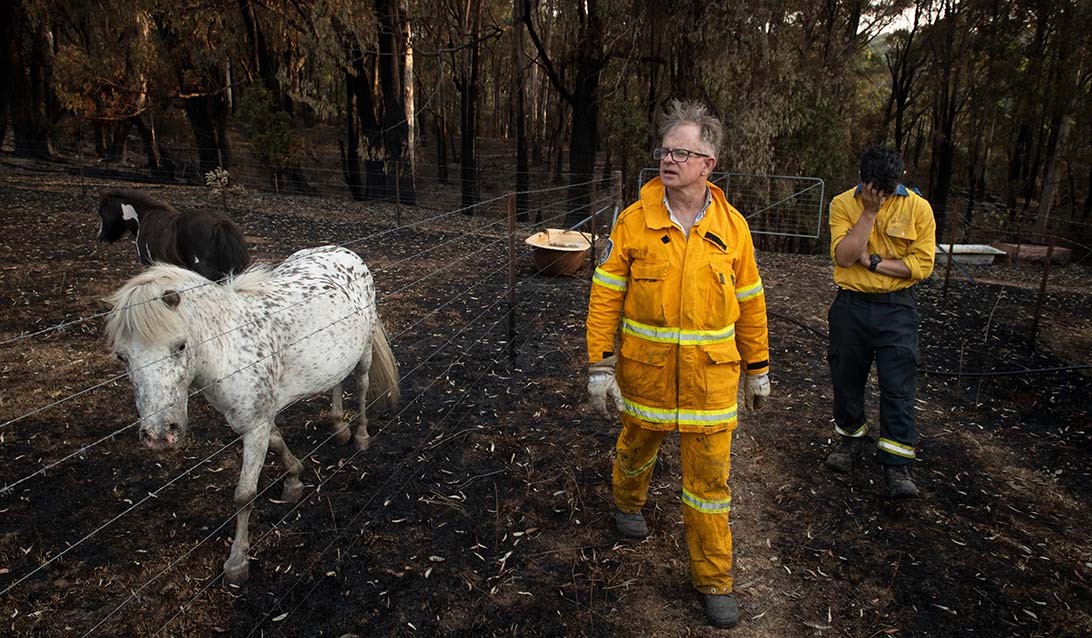 Two males wearing RFS uniform and a white horse standing in a burnt out paddock.