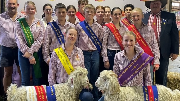 A large group of students wearing ribbons standing behind two prize-winning goats