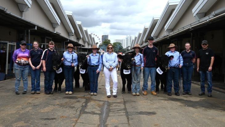Staff and students in a line with some cattle.