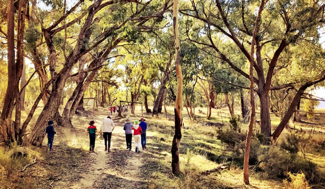 A group of students and teachers walk through bushland.