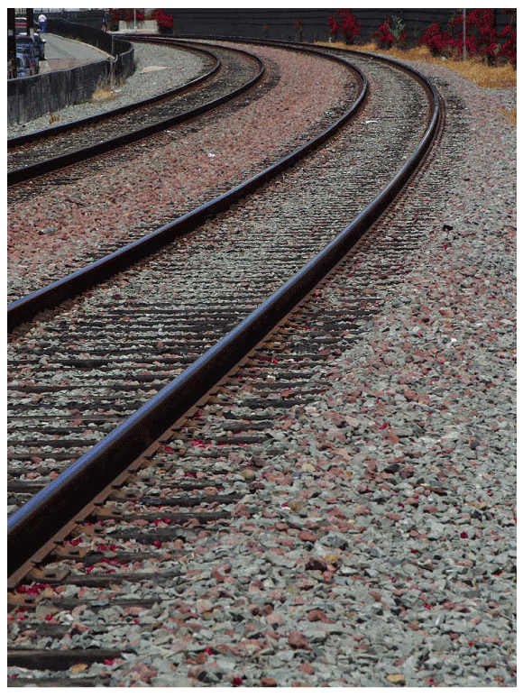 Two sets of train tracks veering off to the left in parallel