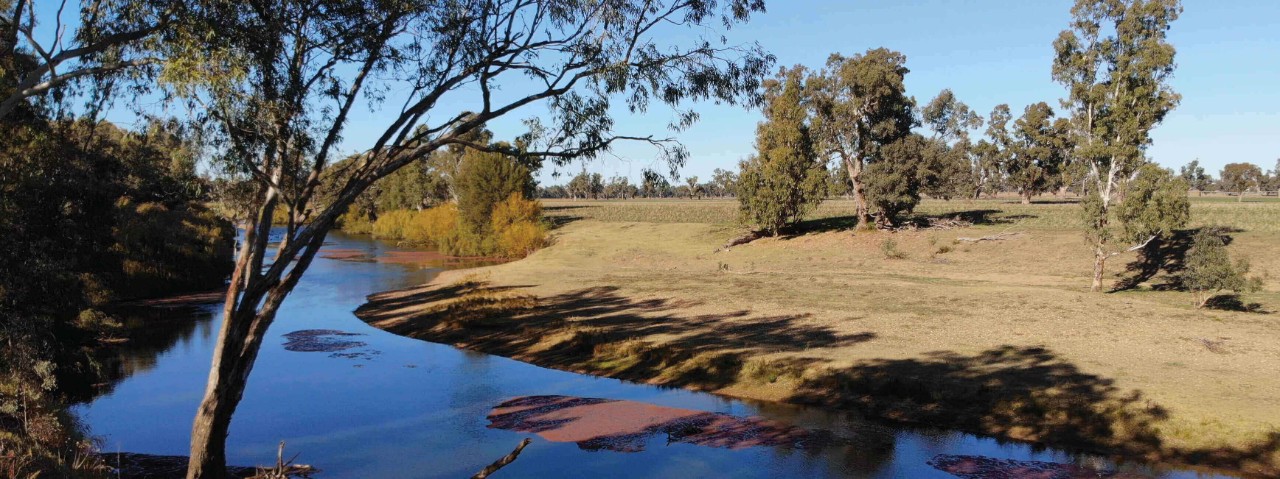 Scenery of Bourke including a river and grasslands