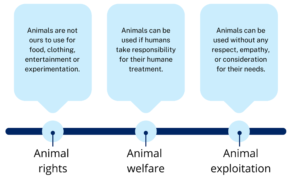 graphic showing  information about animal rights animal welfare and animal exploitation