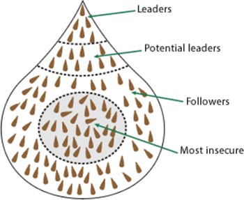 Diagram showing cattle mob dynamics. Leaders at the front followed by potential leaders, then followers, with most insecure in the centre of the mob