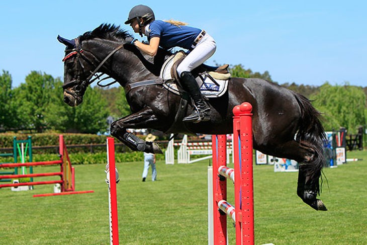 Horse and rider going over a jump