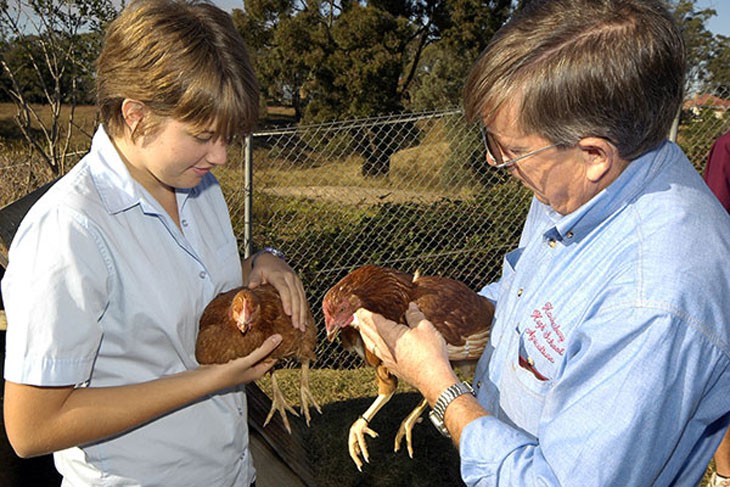Teacher and student holding hens