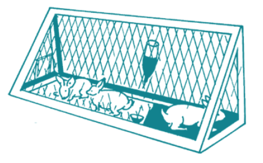 sketch of rabbits in a hutch
