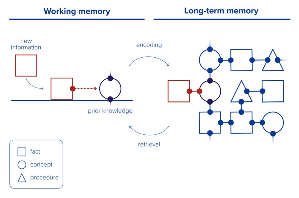 The image shows the process of encoding, where new information and prior knowledge combine in working memory and are stored in long-term memory. It also shows the process of retrieval, where knowledge is recalled from long-term memory and actively used.