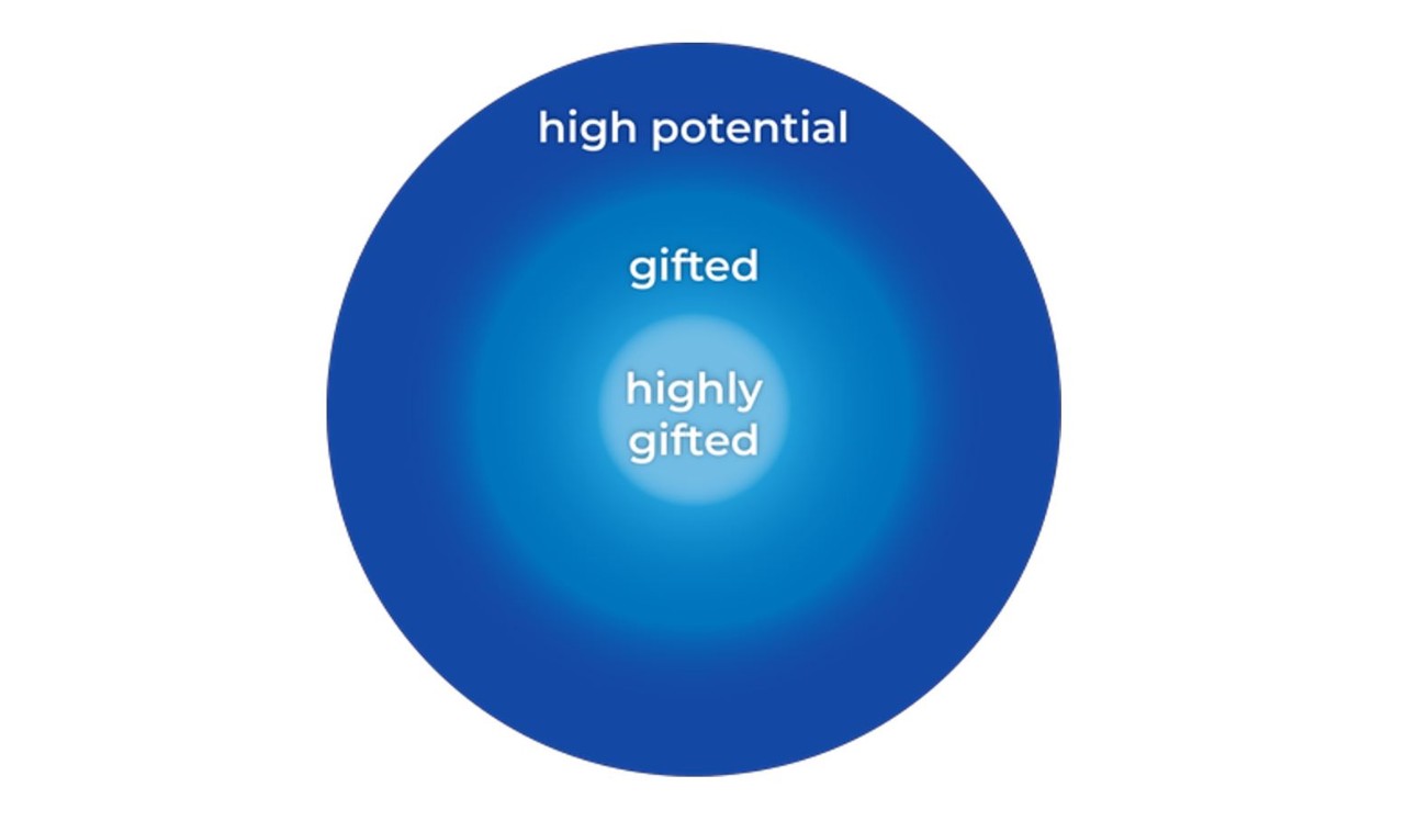 Highly gifted and gifted students are sub-groups of high potential students.