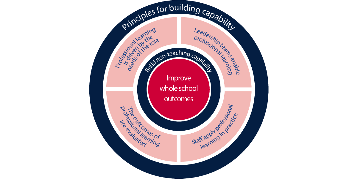 Visual illustration of the Principles for bilding capability