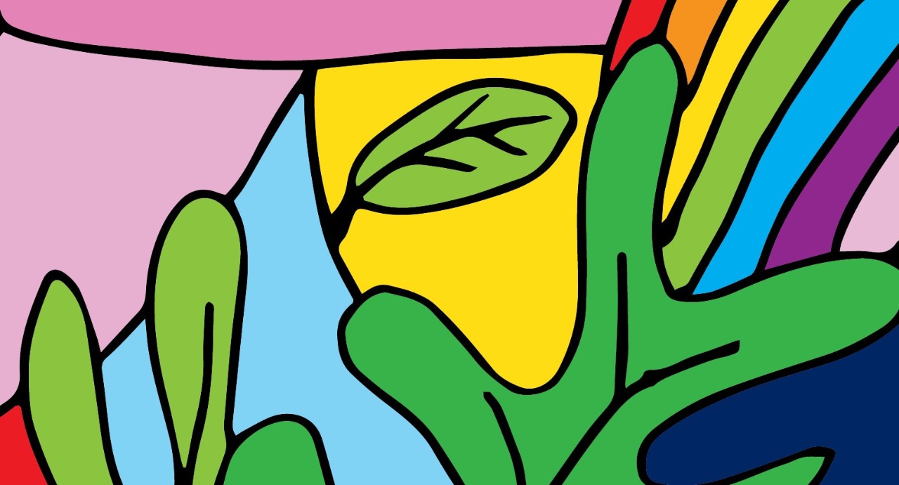 colourful drawing of plants