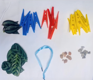 A collection of objects from around the house, leaves, pegs, pebbles and shoelaces