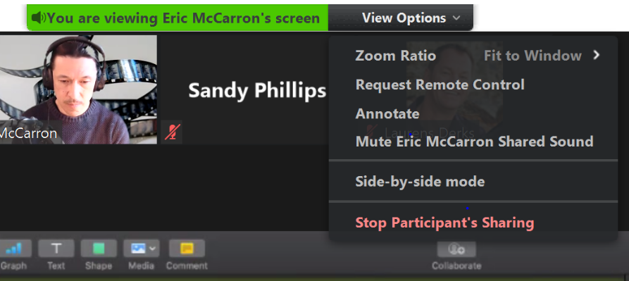 To annotate your screen select View Options, then select annotate. You can now draw onto the screen.